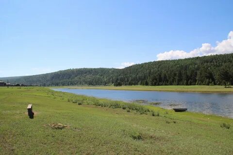 Шишкино забайкальский край