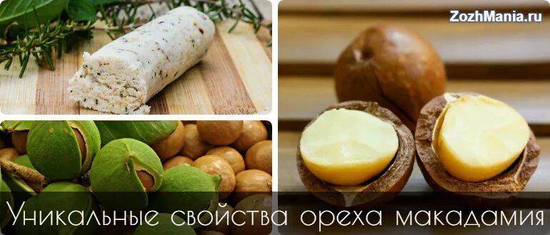 Сколько макадамии можно есть взрослым в день