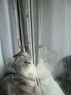 Опасное проветривание
