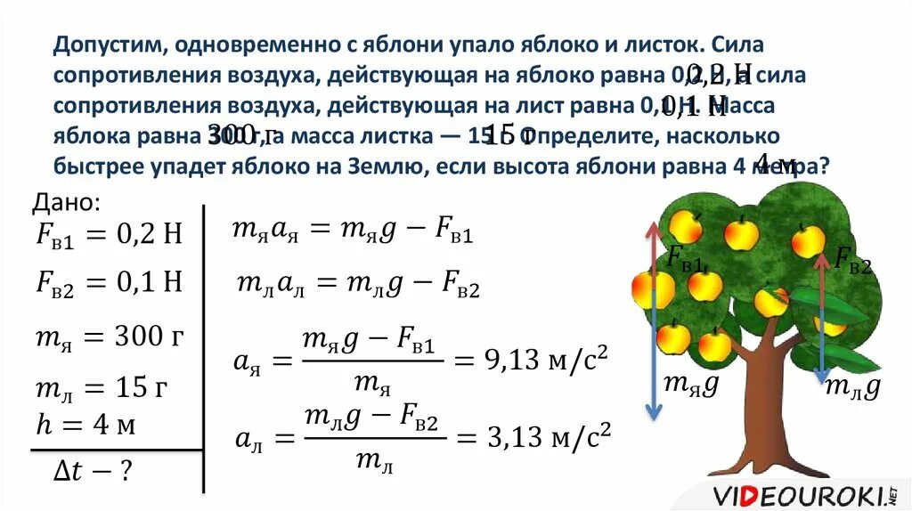 Сколько нужно не есть чтобы упасть. Допустим одновременно с яблони упало яблоко. Допустим одновременно с яблони упало яблоко и листок. Действует ли сила тяжести на листья опадающие осенью с деревьев. Задачи на падающее яблоко.