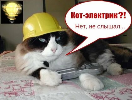 Пришли электрики