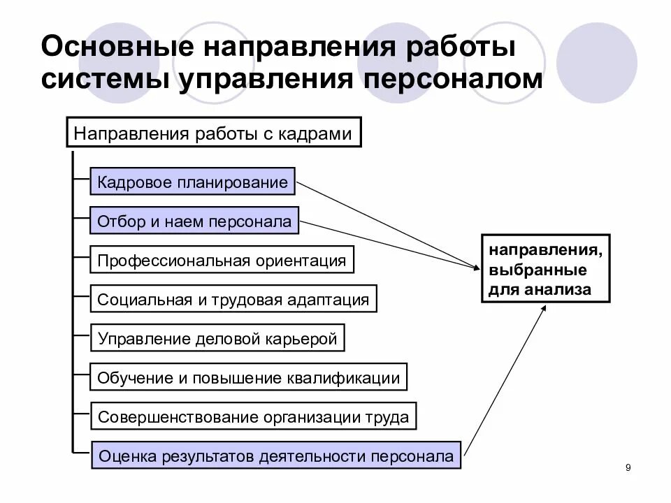 Основные направления управления персоналом. Управление персоналом направления работы. Основные направления работы. Основные направления работы с персоналом в организации. Основных направлений деятельности компании