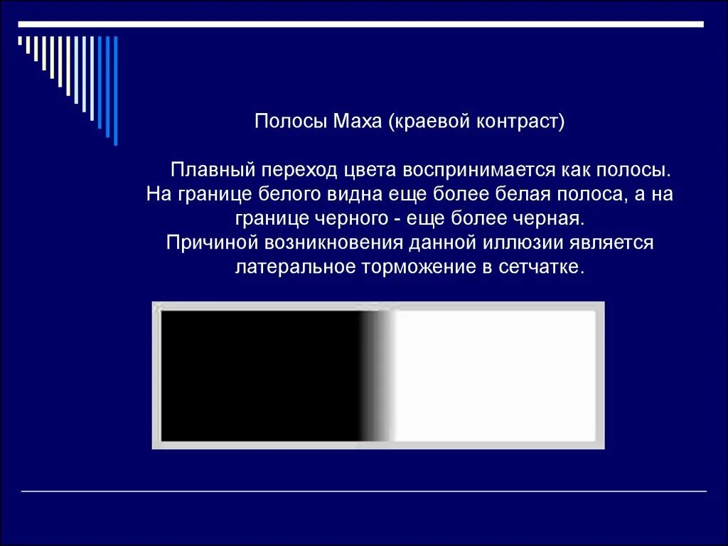 Почему темные полоски. Полосы Маха иллюзия. Эффектом полос Маха. Краевой контраст. Полосы Маха интересные факты.