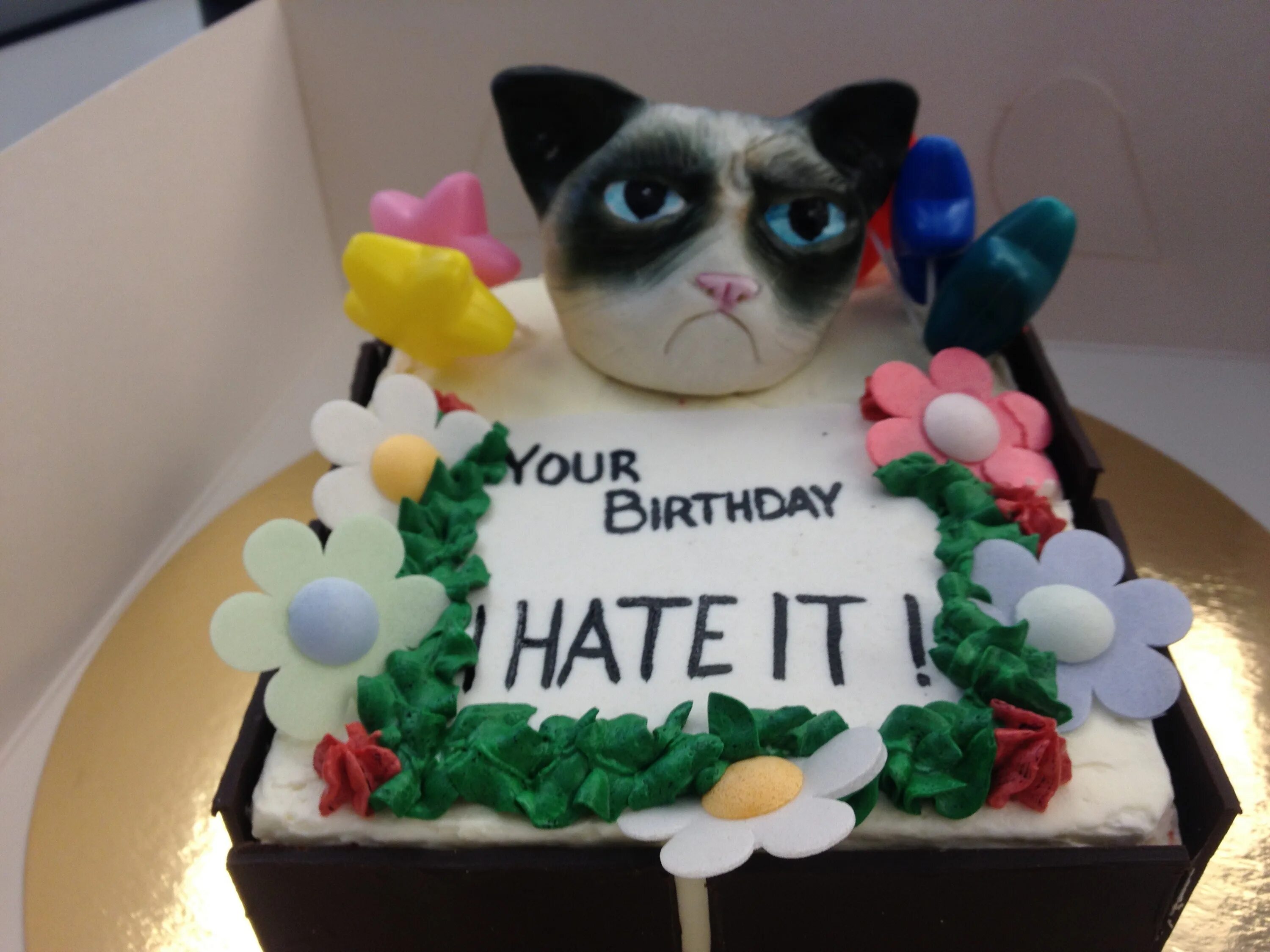 Grumpy Cat торт. Прикольная надпись на торт угрюмый кот. Грампи Кэт фотопечать торт. Мордочка черного кота на торте. Торт кэт