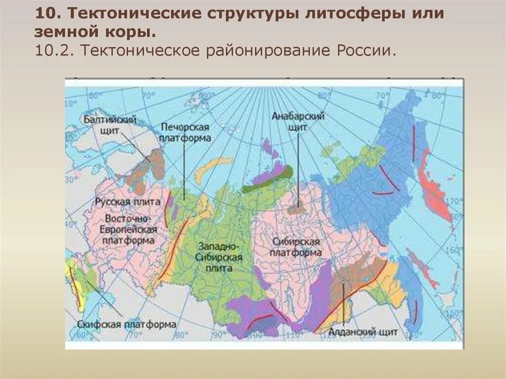 Тектоническое строение русской равнины 8 класс. Карта строение земной коры на территории России. Тектоническая плита России карта Сибирская. Тектонические структуры России на контурной карте. Тектонические структуры на территории России.