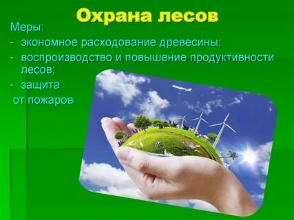 Проект в защиту жизни