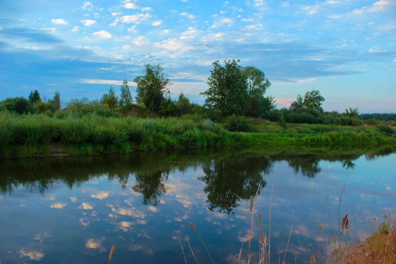 Река уводь. Уводь Ковровский район. Река Уводь Ивановская область. Река Уводь Владимирская область. Река Луйка Ковровский.