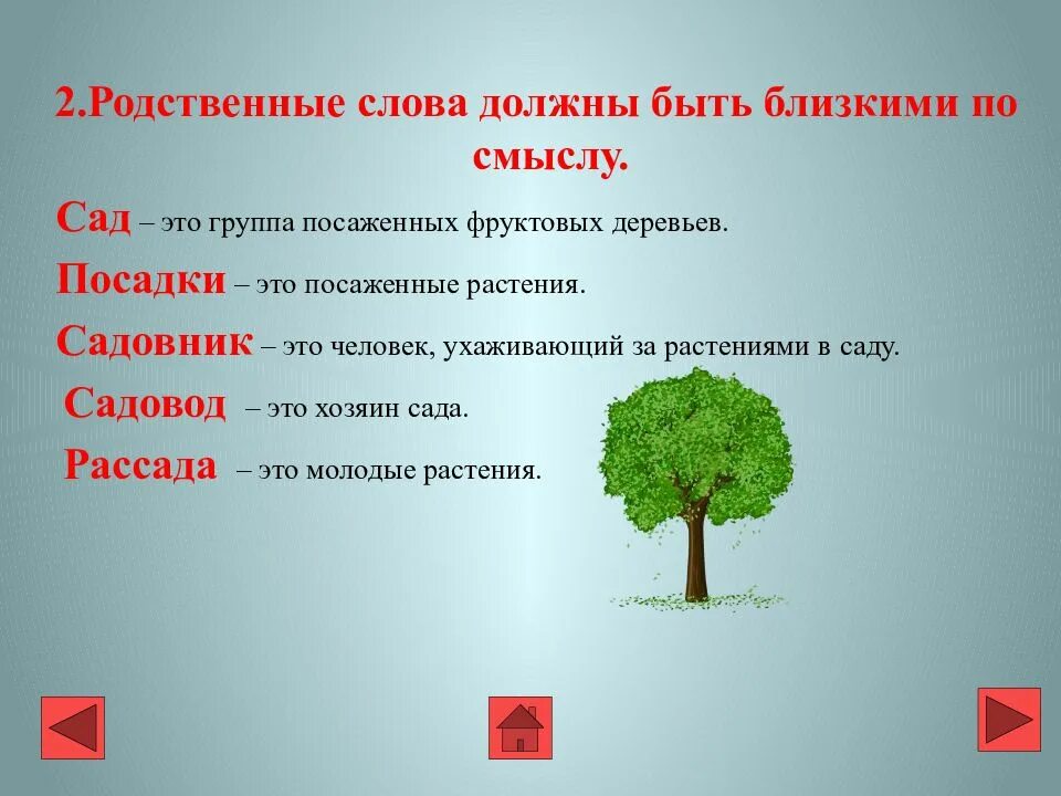 Другое значение слова сад. Родственные слова. Родственные слова к слову. Родство слов. Однокоренные родственные слова.