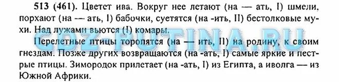 Цветет ива вокруг нее летают шмели. Цветет Ива вокруг нее. Цветет Ива вокруг нее летают шмели порхают бабочки. Цветёт Ива вокруг неё - - шмели. Цветет Ива вокруг нее шмели бабочки.