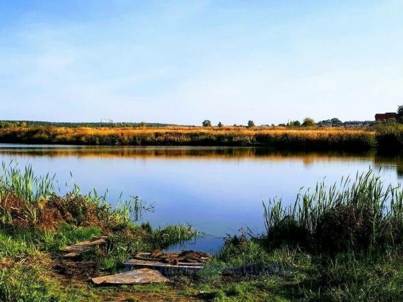 Кубинское озеро. Водохранилище Тульской области. Шатское водохранилище Тульской. Шатское водохранилище Новомосковск. Водоёмы Тульской области Новомосковский район.