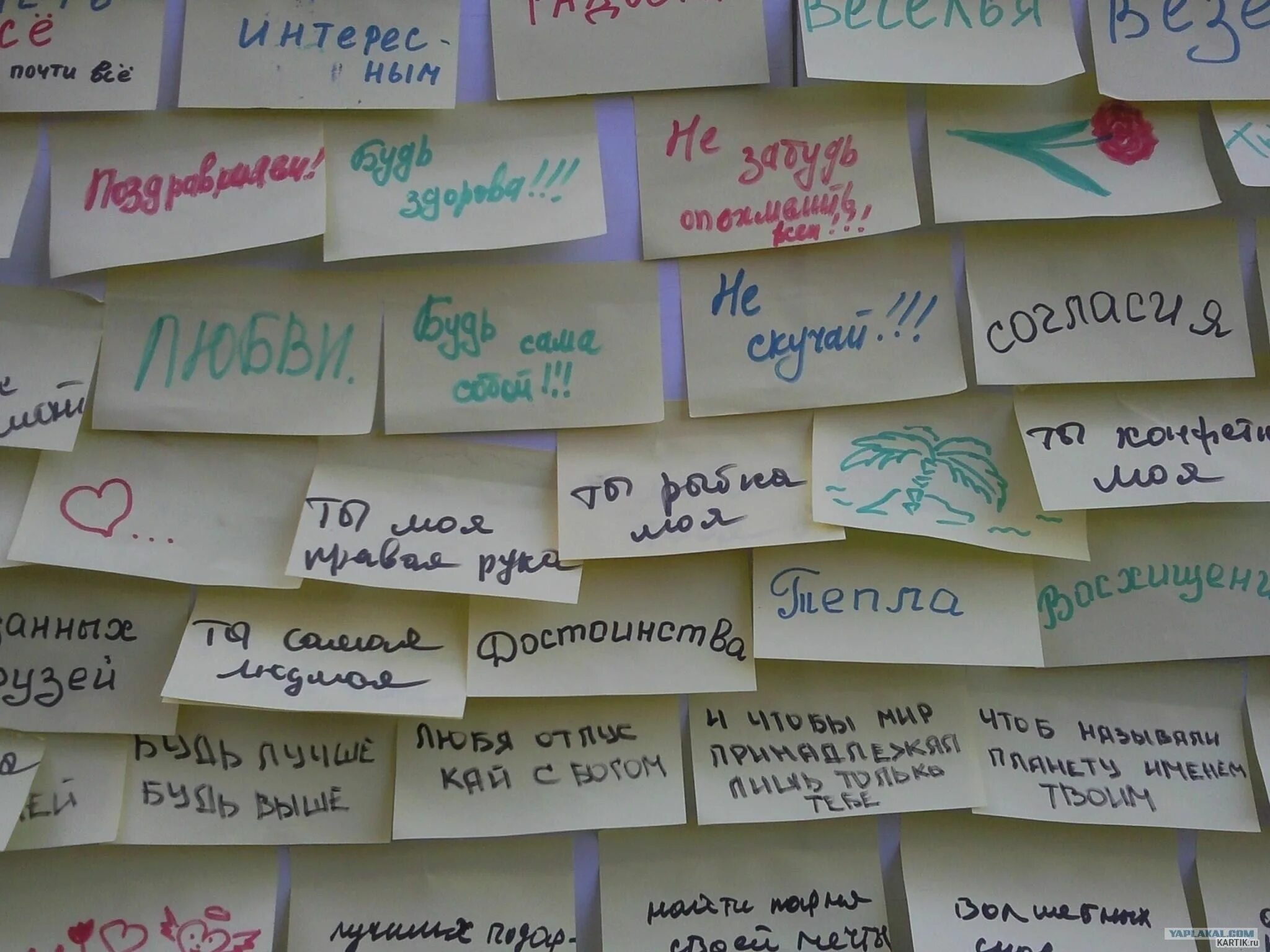 Идеи поздравления девушке