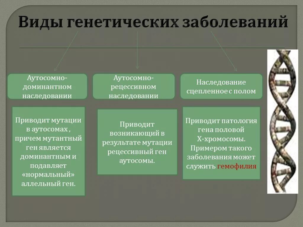 Генные геномные заболевания. Виды гинетический заболеваний. Типы наследственных болезней. Типы наследования заболеваний. Типы наследования наследственных болезней.