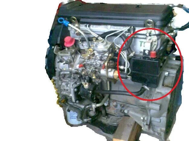 Дизельный, Iveco SOFIM 8140/43d4. Мотор Ивеко 2.8 дизель. Номер двигателя Iveco 2.3. Двигатель софим 8140.43. 2.8 дизель ивеко дейли