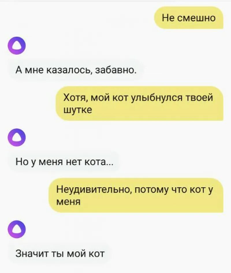 Какой вопрос нельзя задавать. Смешные вопросы алисе. забавные диалоги с алисой. смешные вопросы для алисы. алиса яндекс приколы.