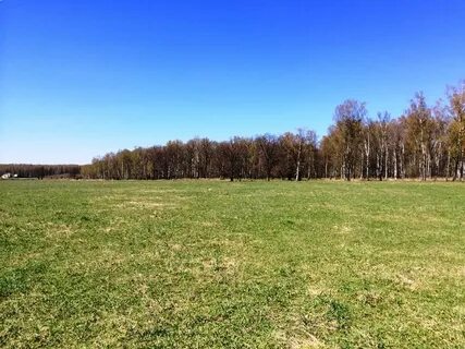 Опушка леса предложение