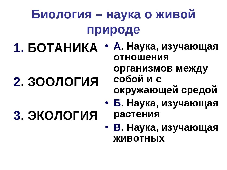 Как называется наука изучающая жизнь. Как называется наука изучающая жизнь
