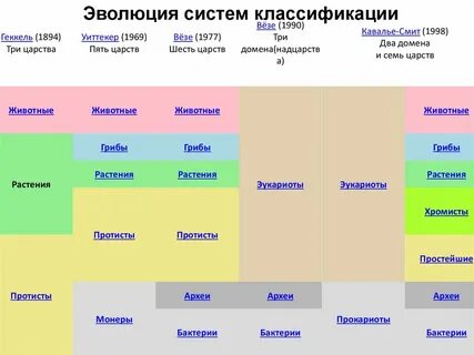 Система эволюции 2