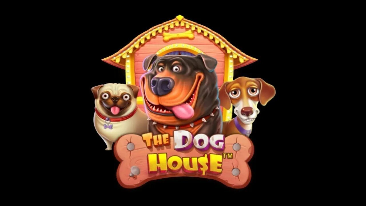 Дог хаус демо dogs house net