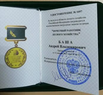 Гку рб управление лесничествами