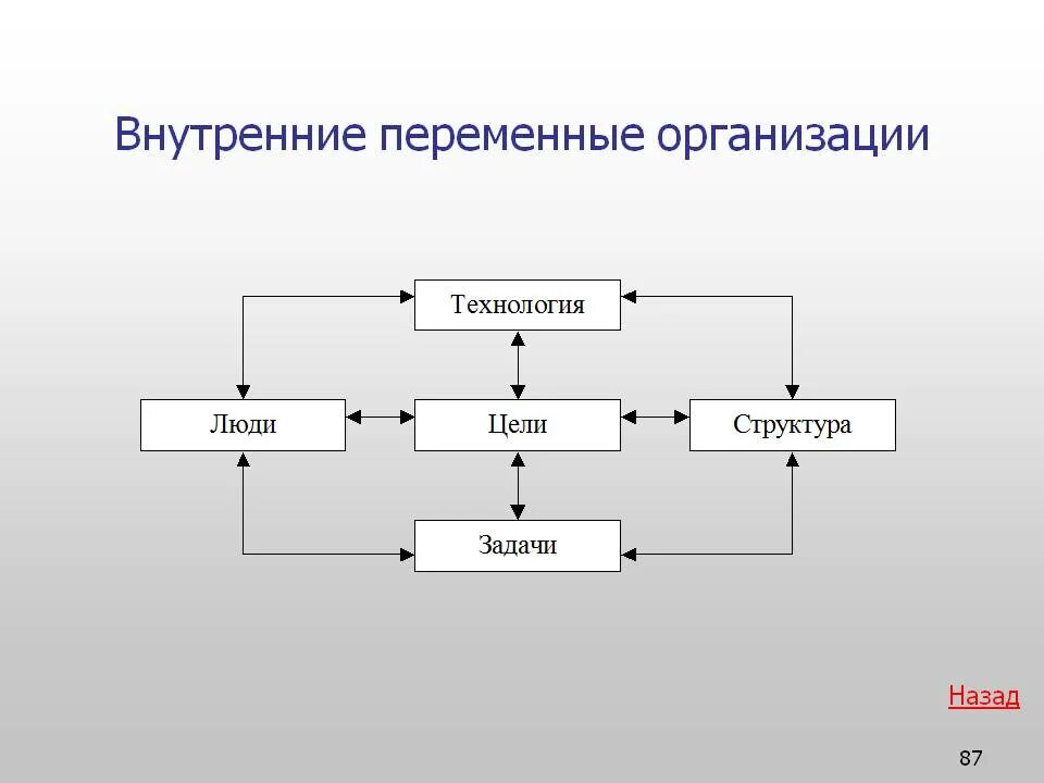 Основные переменные организации