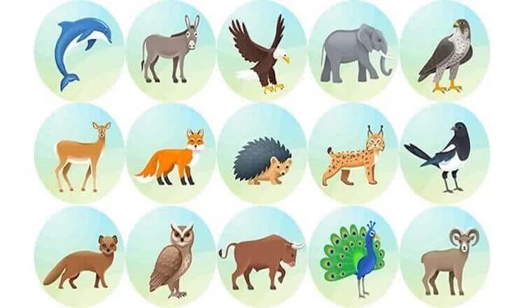 Тест животные леса. Животные в круге. Дикие животные в круге. Дикое животное по знаку зодиака. Иллюстрации животных в кружочках.
