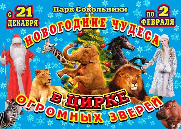 Цирк больших животных. Цирк огромных зверей. цирк огромных зверей афиша. цирк огромных зверей в сокольниках. цирк огромных зверей в сокольниках афиша.