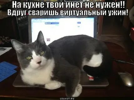 Невзирая на все предупреждения