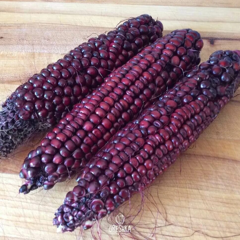 Красная земляничная кукуруза. Кукуруза земляничная семена. Аурика кукуруза сахарная. Красная кукуруза. Кукуруза рубиновый гранат.