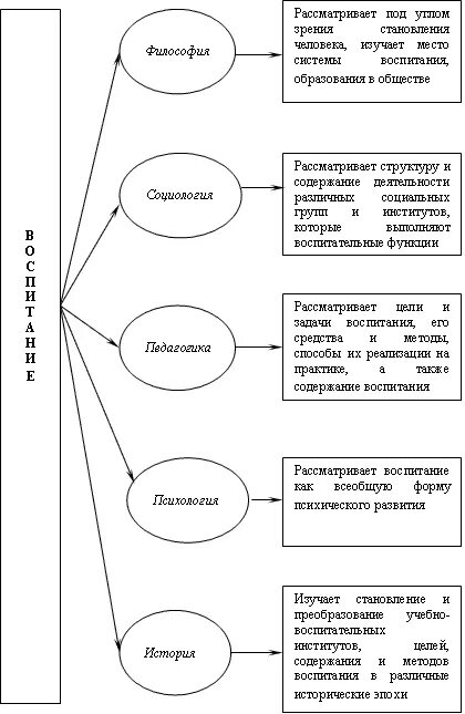 Соотношение процессов обучения и развития. Соотношение процессов обучения и развития