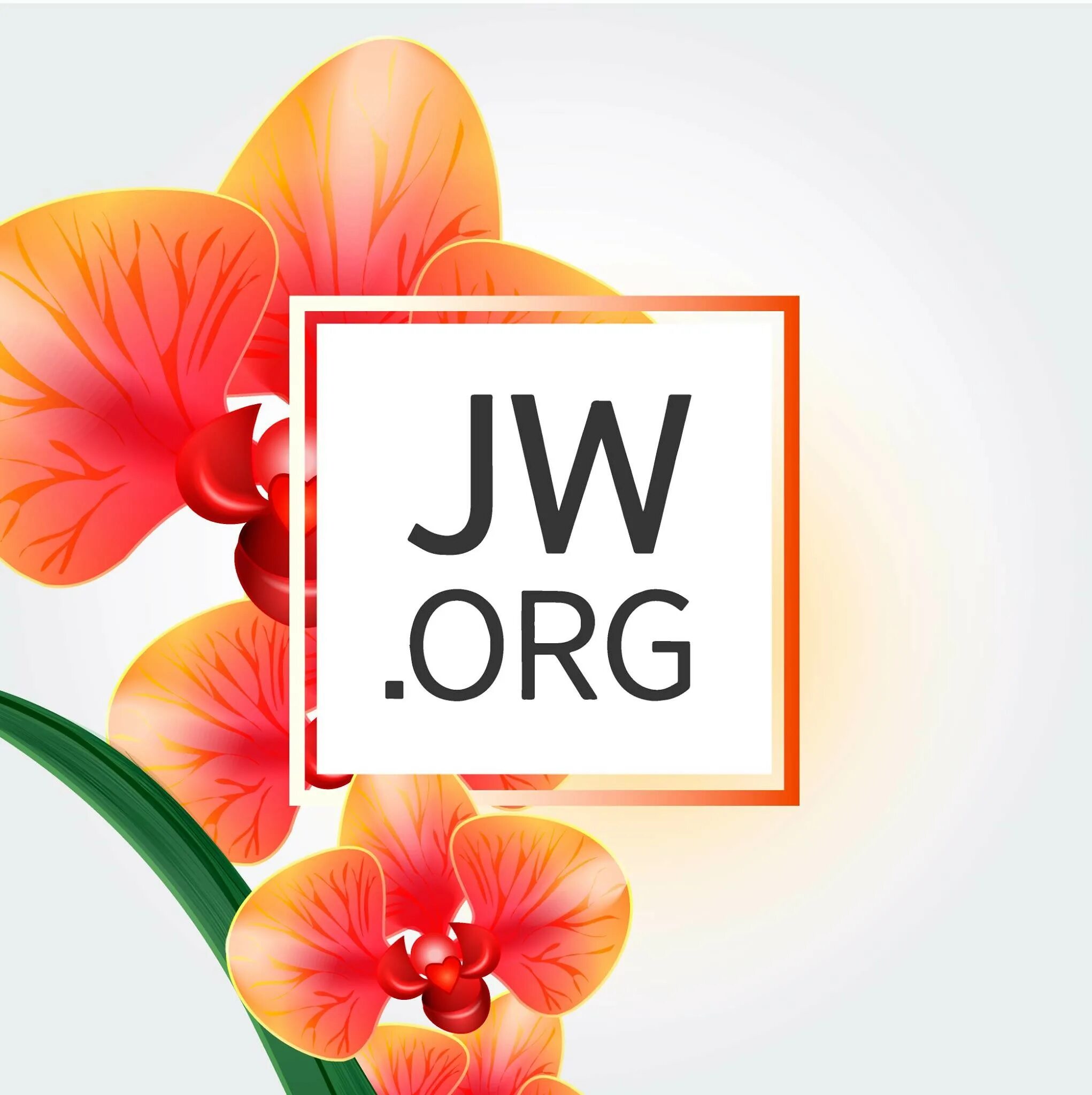 JW org. JW лого. JW org Wallpaper. Фон JW. Https jw org
