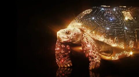 Компьютер черепаха