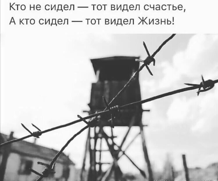 Кто не сидел тот видел счастье а кто сидел тот видел жизнь. Кто видел жизнь. Кто не был тот жизни не видел. Кто видел жизнь тот. В чем видит счастье сокол