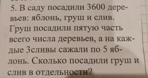 В школьном саду посадили 900