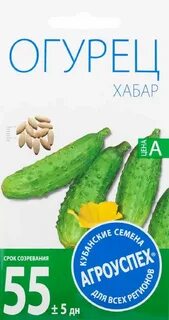 Огурец хабар