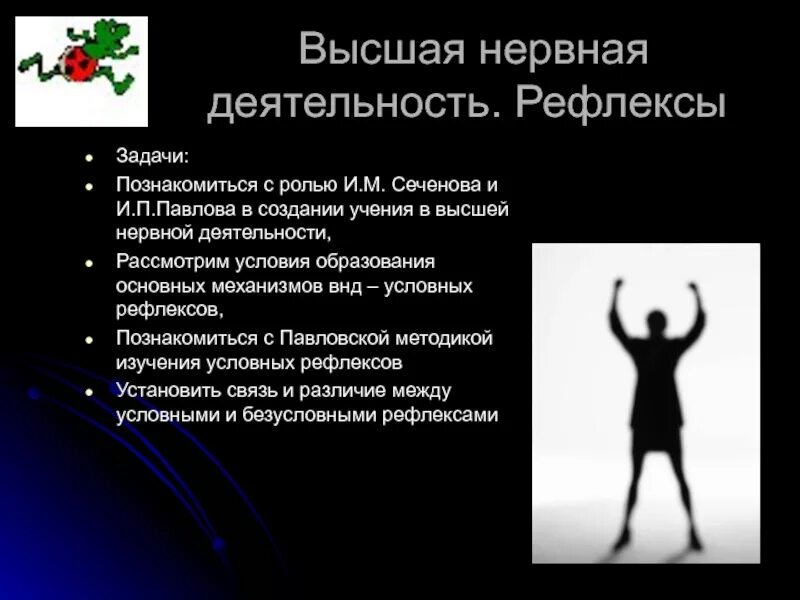 Высшая нервная. ВНД рефлексы. Высшая нервная деятельность рефлексы. Презентация на тему ВНД. Задачи высшей нервной деятельности.