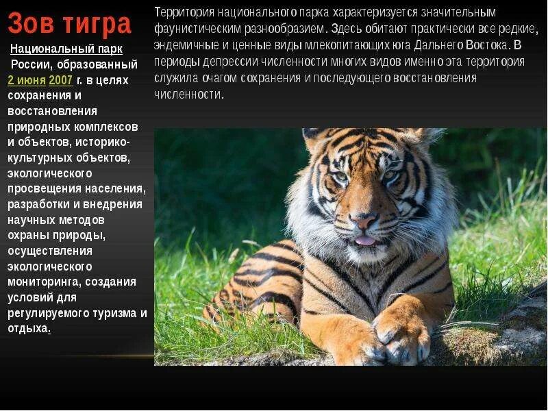 Народы Приморского края