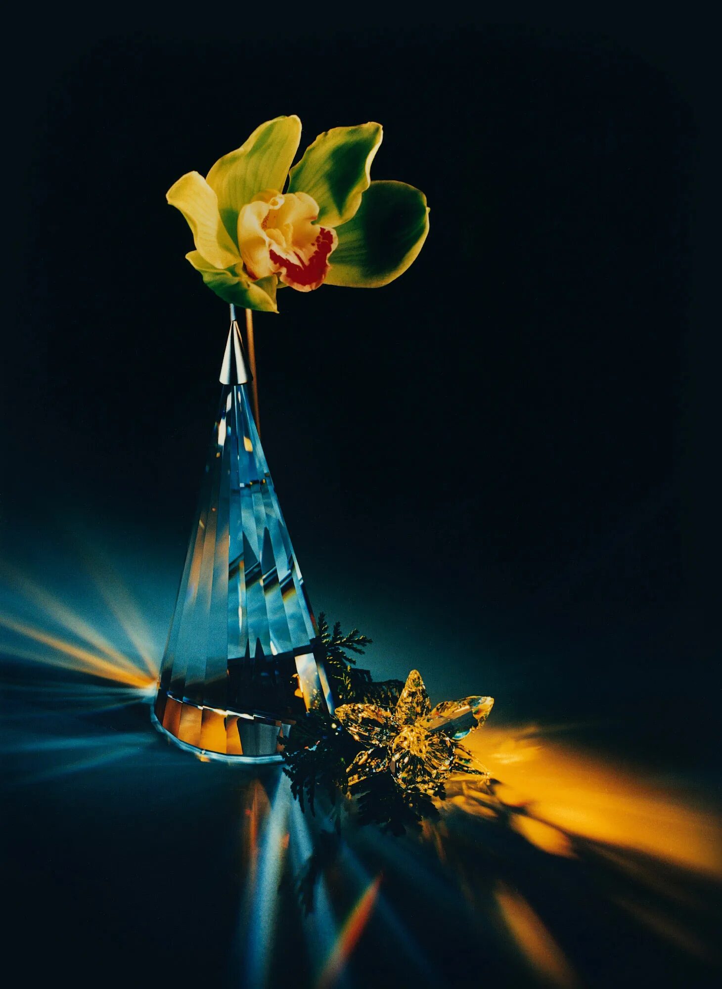 Долина йосемити, сша. Красивое содержательное. Мед креатив. Alessi rel-4800. Глаз природы.