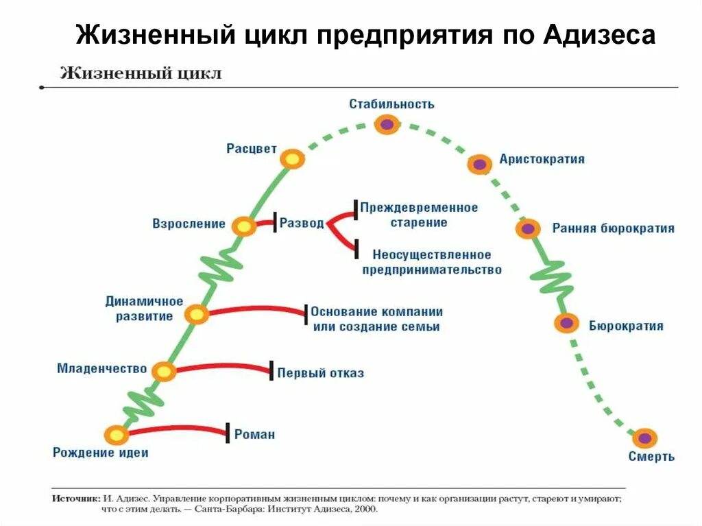 Ицхак Адизес стадии жизненного цикла организации. Этапы жизненного цикла организации по Айзеку Адизесу. Адизес этапы жизненного цикла организации. Адизес стадии жизненного цикла.