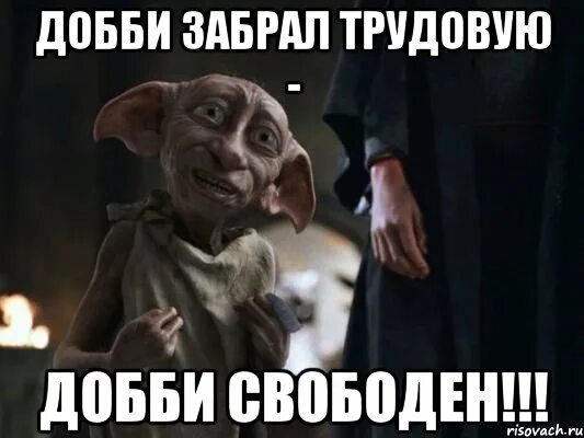 Добби подарили носок. Добби теперь свободный эльф. добби носок добби свободен. добби хозяин. добби уволился добби свободен.