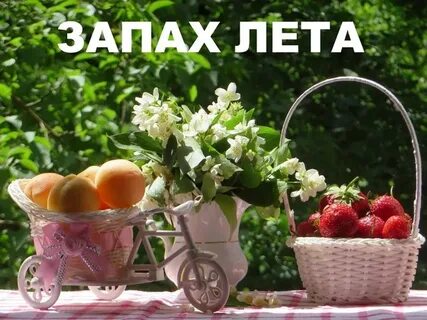 Запах последнего лета