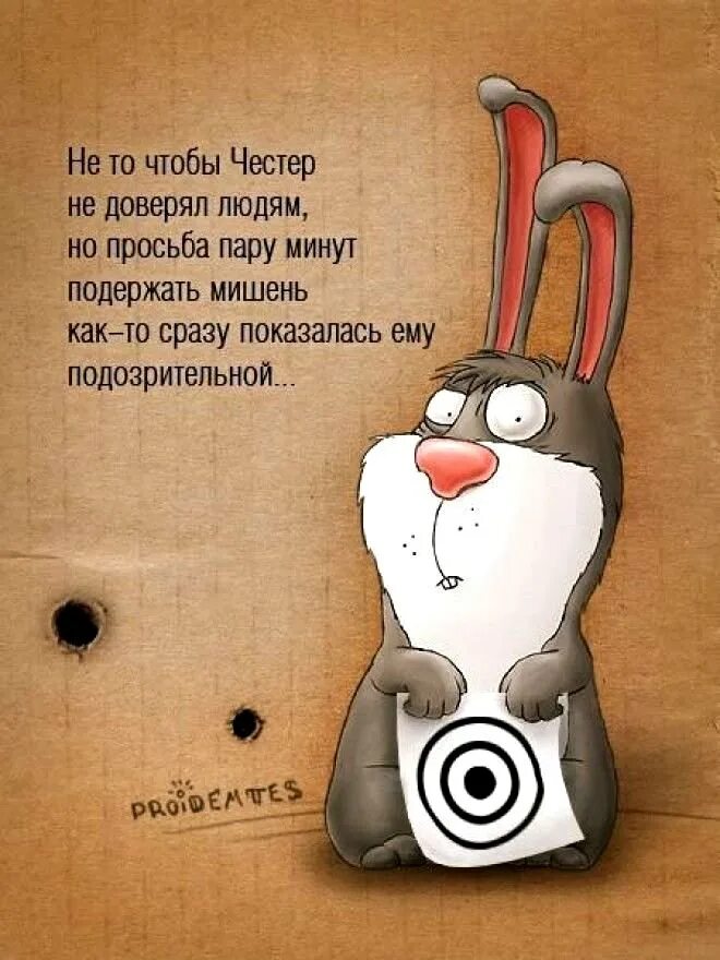 забавный кролик. смешное про зайца. прикольный кролик. серый заяц-русак. жирный заяц.