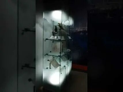 Маленький пилигрим