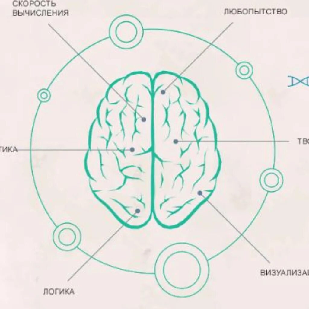 Тест на IQ. Тест на интеллект. IQ 110. IQ тест 110. Мозг айкью