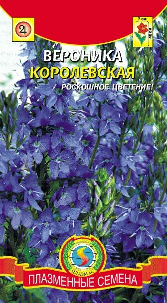 Вероника Гавриш 2 купить по выгодным ценам в интернет-магазине OZON (155557851
