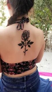 Back rose