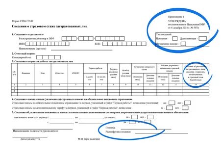 Информация о страховом стаже