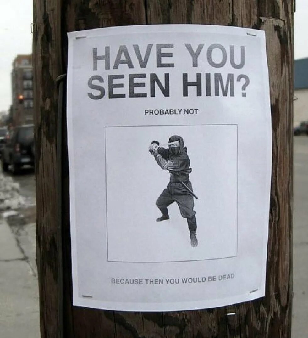 You see him yet. Have you seen him. Объявление о пропаже Мем. Мем have you seen him. Вывеска о пропаже.