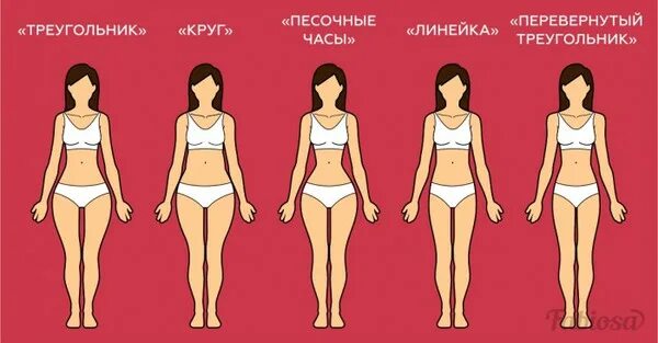 Типы фигур у девушек. Типы женских фигур. Тип фигуры тест. Типы фигур. Типы фигур.