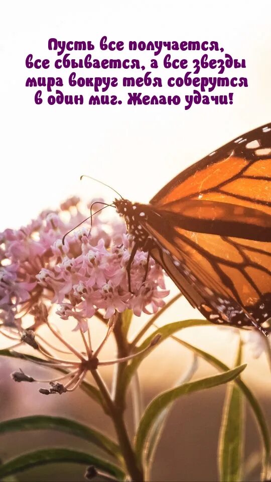 Пусть все получится. Пусть всё задуманное исполнится. Все у нас получится!. Пусть все получается все. У тебя все получится.