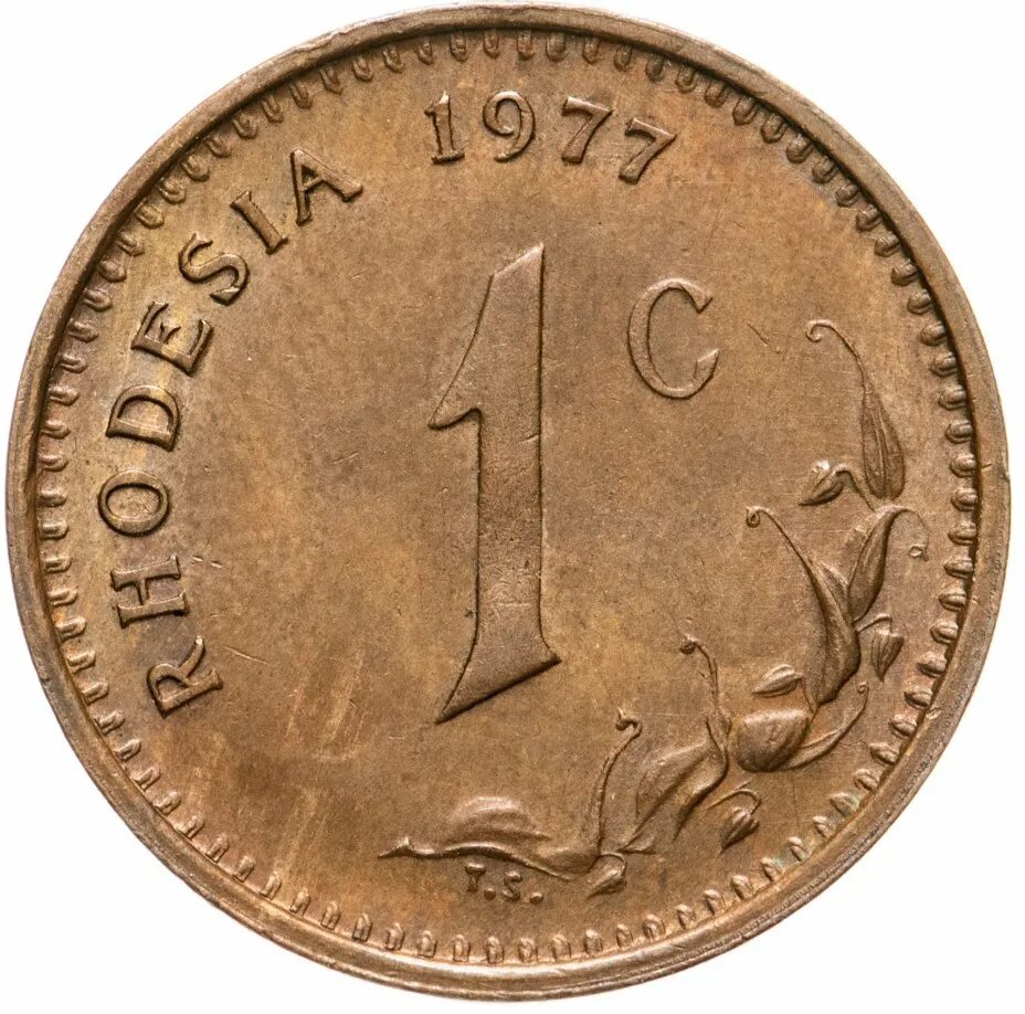 1 cent. 1 Цент (Нидерландские Антильские острова). 1 Цент монета. Rhodesia монета. Нидерландские Антильские острова 1 цент, 1970.